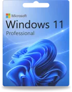 Microsoft Windows 11 Professional