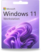 Microsoft Windows 11 Workstation