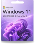 Microsoft Windows 11 Enterprise LTSC 2024
