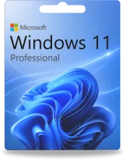 Windows 11 Professional