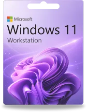Windows 11 Workstation