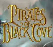 Pirates of Black Cove Steam CD Key