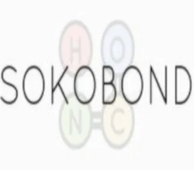 Sokobond Steam CD Key